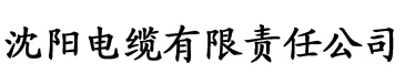 伊人久久大香线蕉精品哪里电缆厂logo